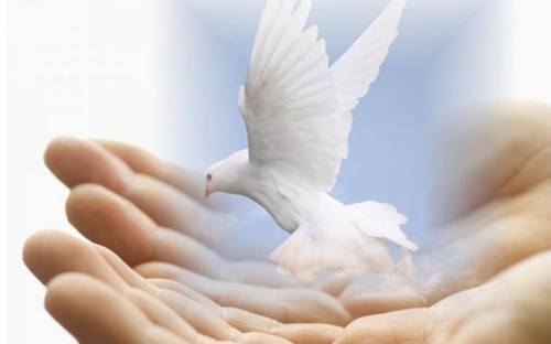 10440730_10204421351670184_3665623318092832657_n